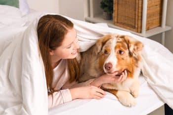 13 Dog Breeds That Respond To Your Every Mood