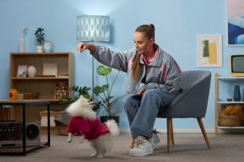 Your Complete Guide To Delightfully Tacky Dog Décor