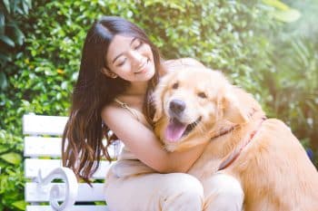 11 Lovey-Dovey Dog Breeds That’ll Snuggle Into Your Life