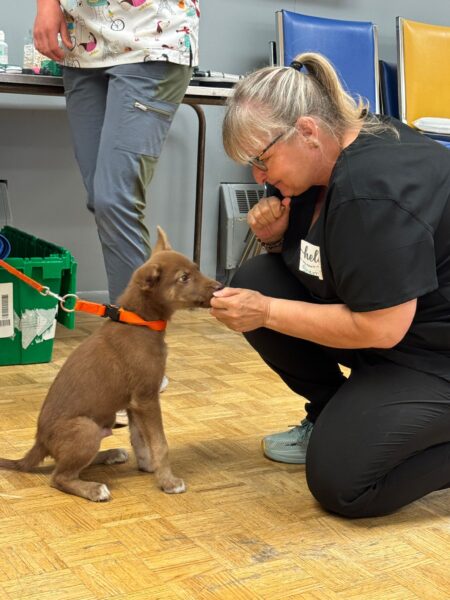 The Ontario SPCA delivers vital pet care to underserved families in Midland