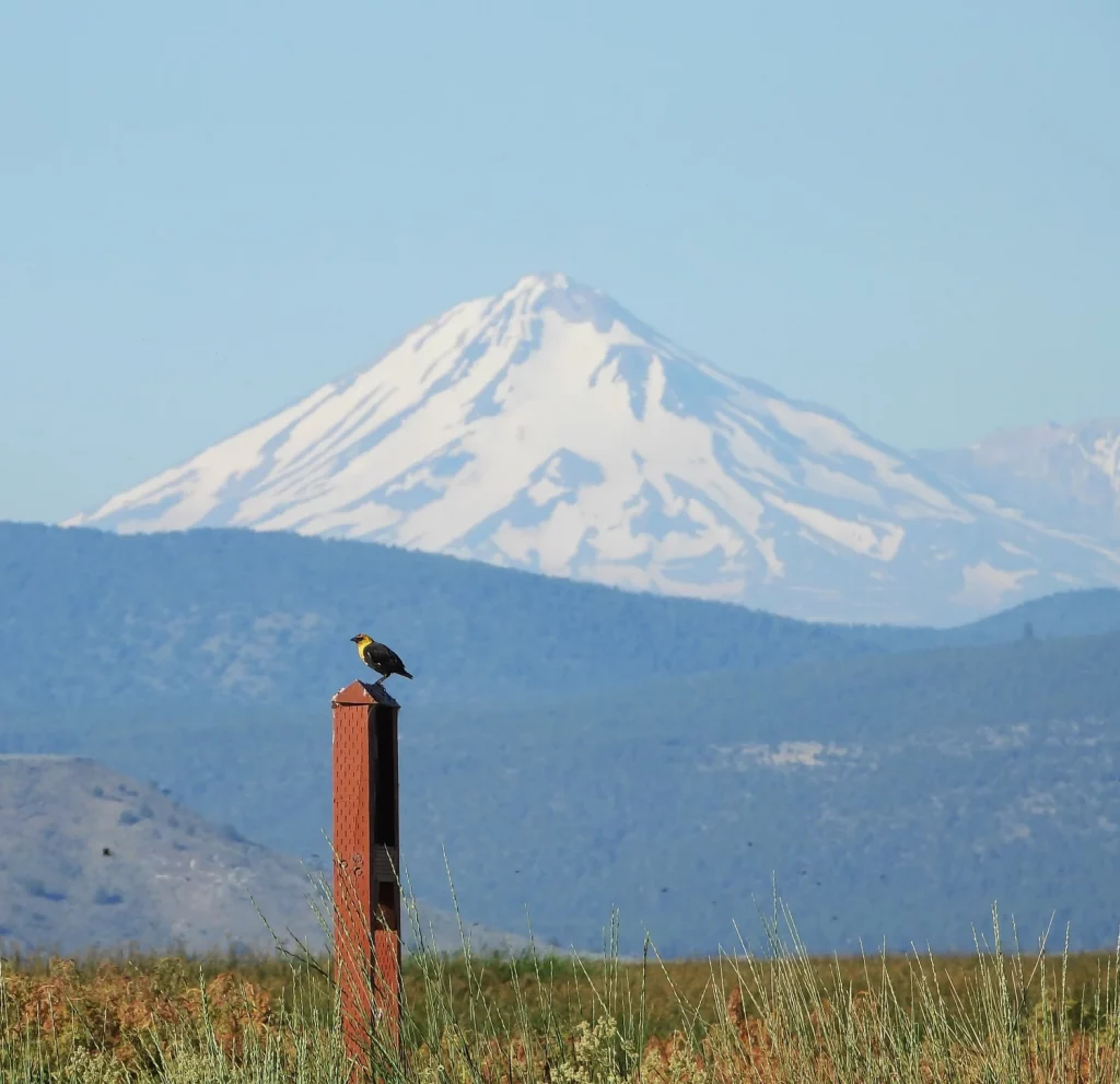 Reflections from Lower Klamath: Waters That Shaped Us, Futures We Must Protect