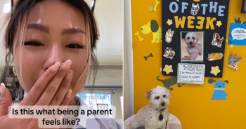 Rescue Puppy Wins ‘Dog of the Week’ at Daycare and Owner Couldn’t Be Prouder