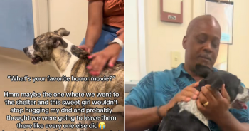 Family Adopts Two Dogs After Saying They Wouldn’t Take Any Home