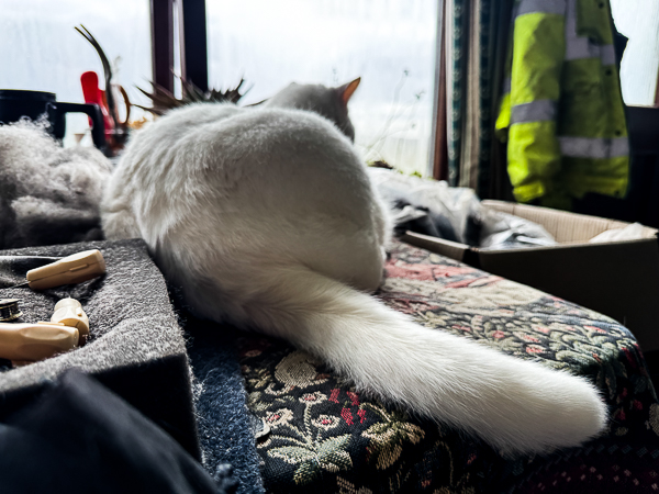 Brushing for Visitors