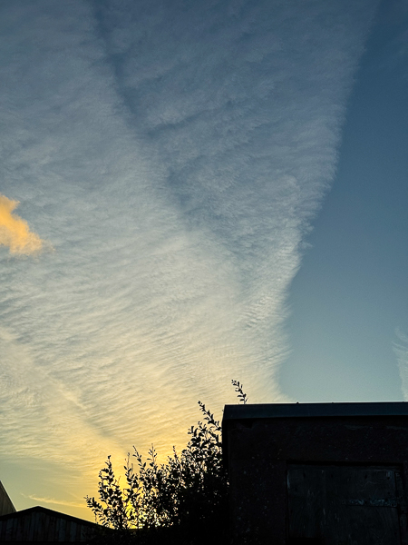 Last Night and Today