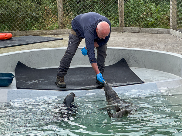 Hillswick Wildlife Sanctuary