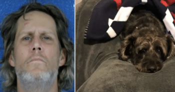 Man Who Stole 87-Year-Old Veteran’s Car With Dog Inside Caught By Cops
