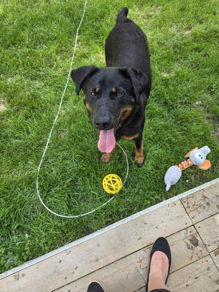 Teamwork and compassion gives Miss Clyde a second chance