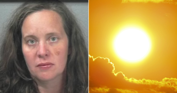 Toddler and Dog Found Dead in Hot Car, Mother Facing Charges