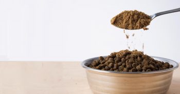 The 16 Best Dog Food Toppers [2025]