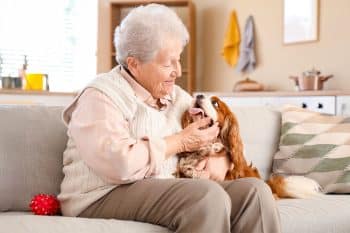 13 Faithful Dog Breeds You Can Always Count On