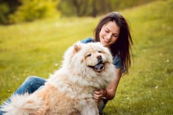 15 Fierce Dog Breeds That’ll Surprise You With Devotion