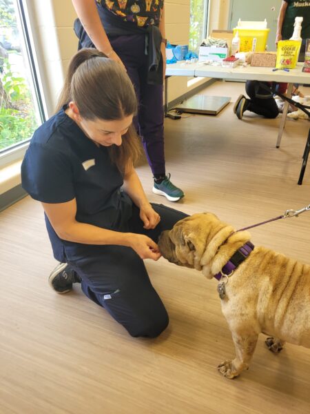 The Ontario SPCA hosts a free rabies vaccination clinic to mark World Rabies Day