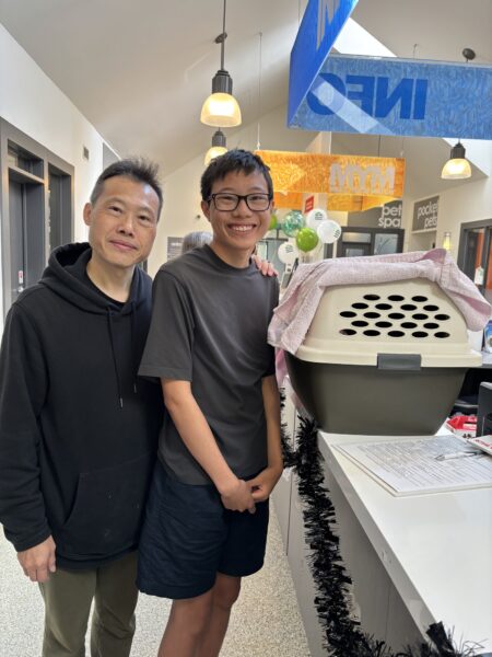 iAdopt: Furever Homes brings new beginnings for adopted animals