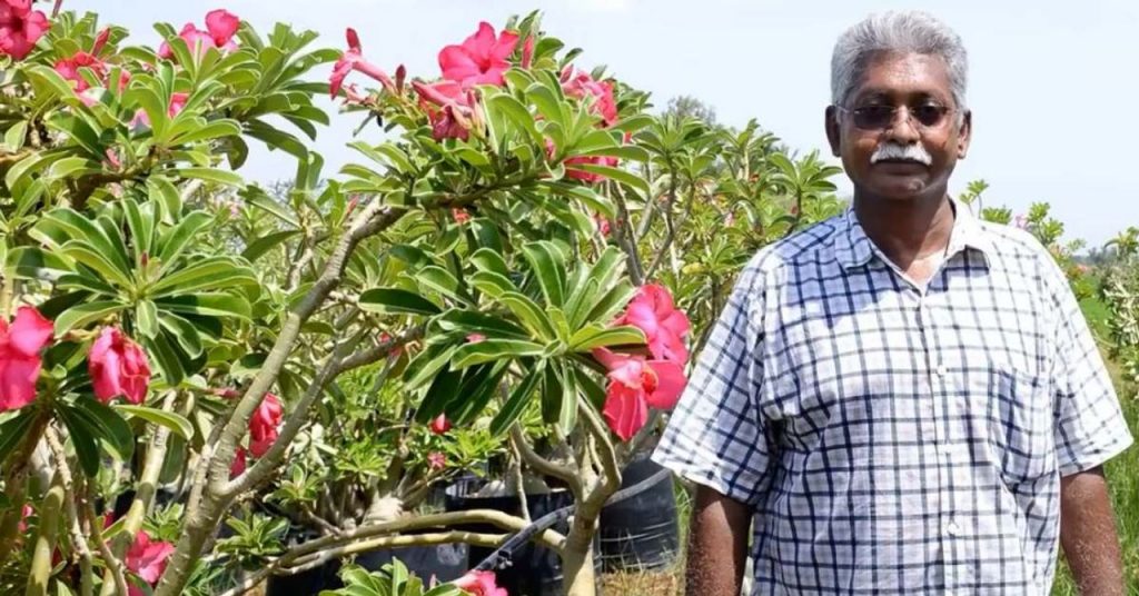 How a Tamil Nadu Farmer Turned Desert Roses into a Rs 60 Lakh Export Venture