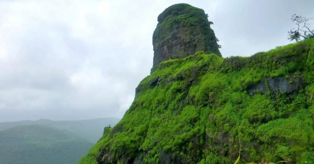 A Rs 5000 Budget Guide to Exploring Karnala’s Forests, Fort & Birdlife, Just an Hour From Mumbai