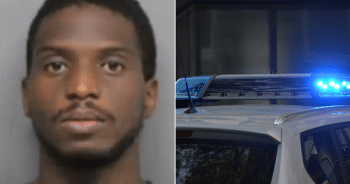 Monster Threatens Dogs and Family During Burglary, Cops Arrest Culprit