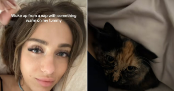 Woman Felt Something Moving Around Under Her Blanket, Then Lifts Up