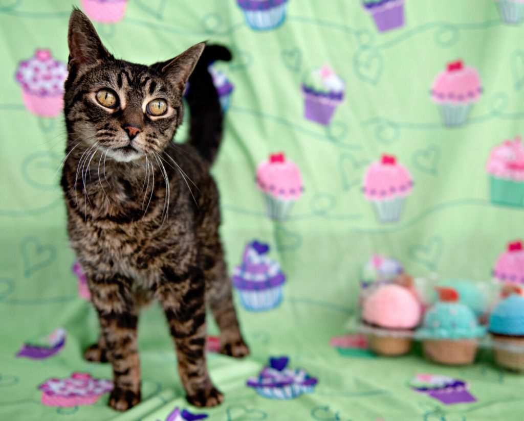 A second chance at love: Penny and Mia’s story