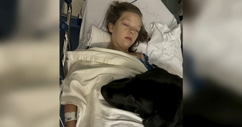 Child With Heart Condition Draws Courage from Black Lab Companion