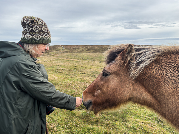 Hell Finally Froze Over