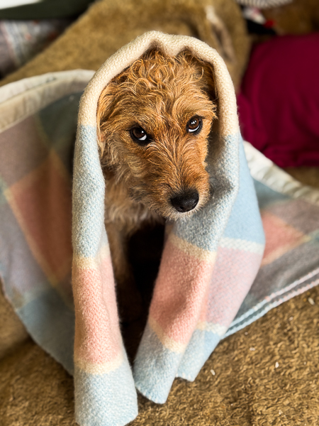 Not Feeling Very Well