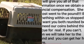 Woman Says Neighbor Demanded $200 Ransom for Missing Dog’s Return