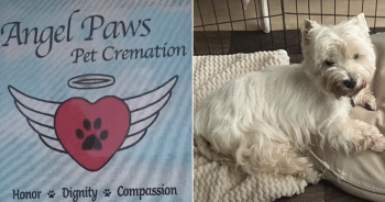 Families Betrayed as Pet Cremation Business Shuts Down Without Warning