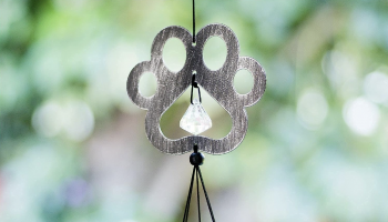 13 Best Pet Memorial Chimes