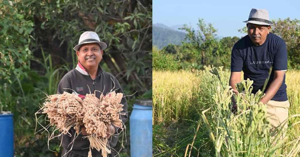 Uttarakhand Farmer’s New Wheat Variety Yields 3X More Grains & Thrives in Any Climate!
