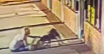 Elderly Woman Bites Dog’s Neck to Save Her Own Dog During Vicious Attack