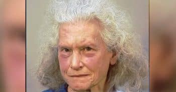 5 Great Danes Die in Sweltering Van, Woman Now Faces Felony Charges