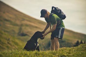 7 Best Dog Treats for Hiking
