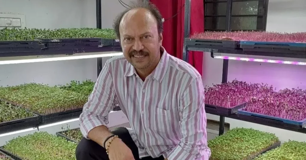 Ex-banker Grows Microgreens in 80 Sq Ft at Home & Now Earns Rs 5 Lakh/Month