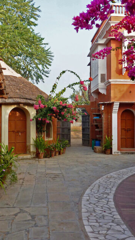 This Rajasthan Lodge Runs on Solar, Grows Its Own Food & Keeps 30 Years of Traditions Alive