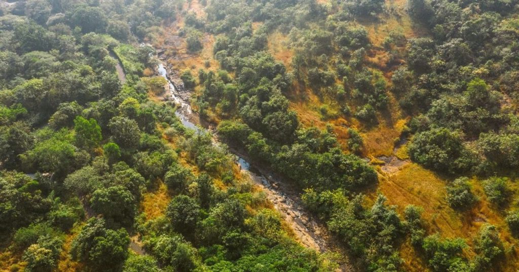 Meet the Family Who Turned 2500 Acres of Barren Land Into a Forest Retreat Just 3 Hours From Mumbai