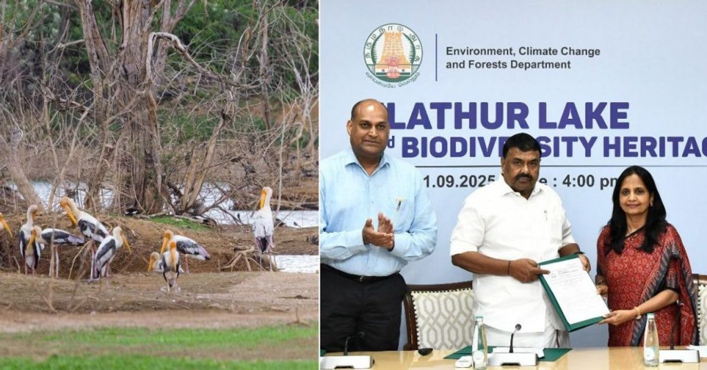 Villagers United To Revive Elathur Lake, Creating a Safe Haven for 187 Bird Species in Tamil Nadu