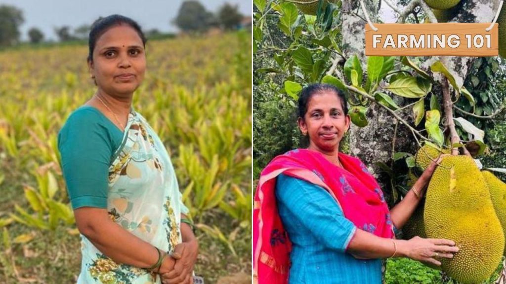 How 5 Farmers Transformed Turmeric, Jackfruit, Chikoo, Banana & Jamun into Big Business