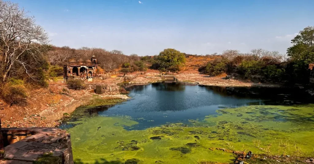 In Ranthambore, I Came for the Tigers — But It Was a 1000-Year-Old Fort That Stole My Heart