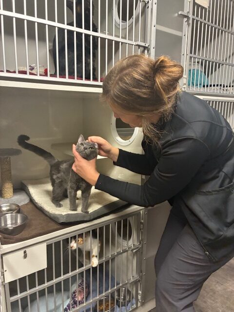 Big News!  Meet the 2025 CARES Fund Grant Recipients