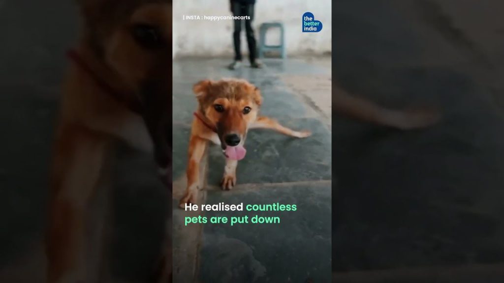 Bhopal Man Invents Wheelchair for Disabled Dogs