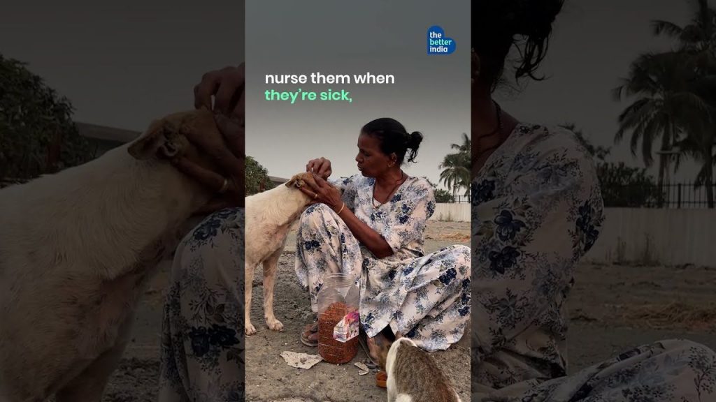 Even As Her Home’s Flood, Mumbai’s Animal Mom Cooks For 300+ Strays