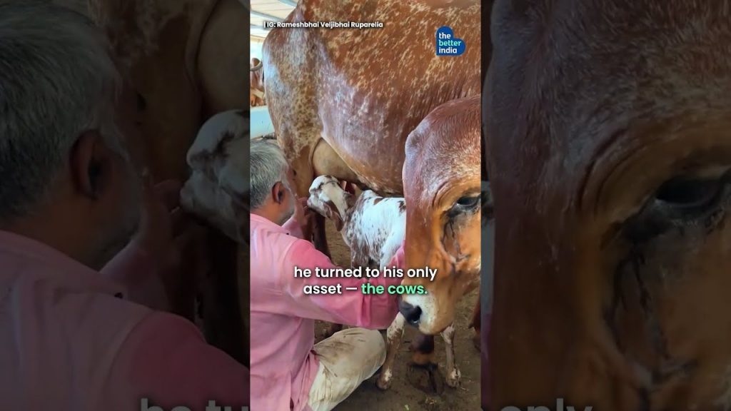 From Cow Herder To 8 Crore Ghee Empire