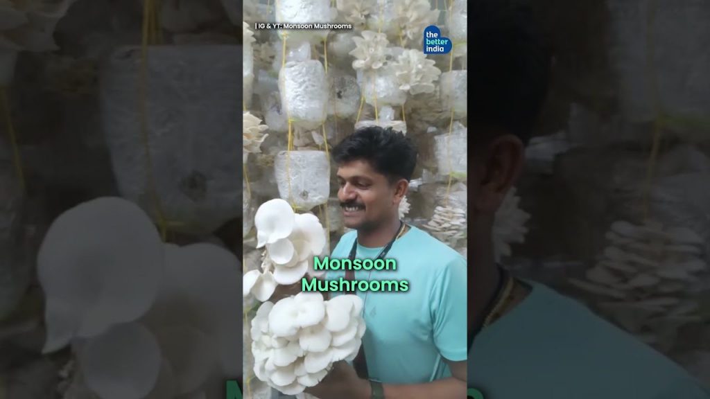 ‘Mushrooms In a Room’ To Earning Rs 2 Cr