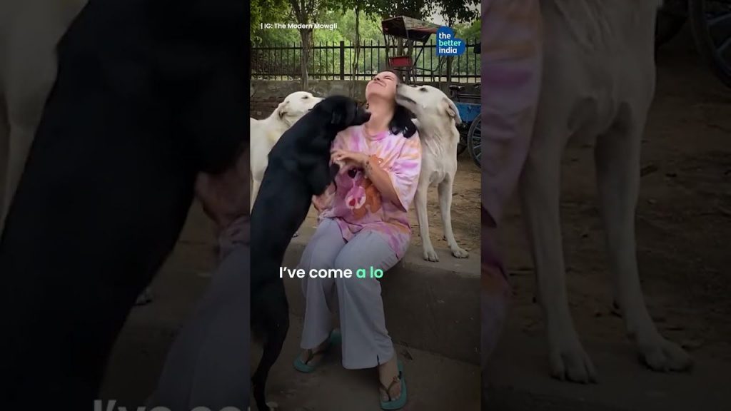 Modern Mowgli of India saves over 140 stray dogs