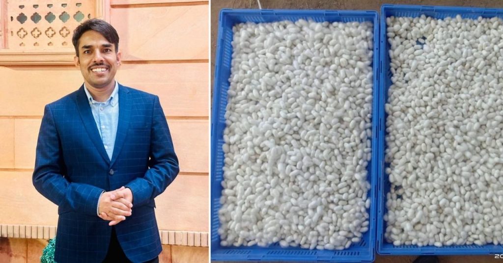 How Punjab IFS Officer’s Silk Revival Project Helps Farmers Earn Rs 25000 With 30 Days of Farm Work