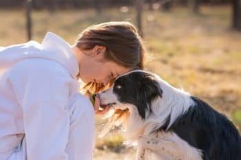 15 Amazing Dog Breeds That Form Instant Bonds
