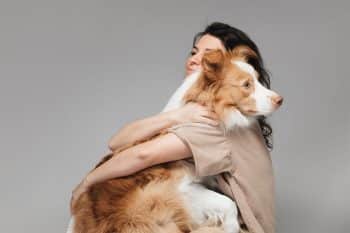 11 Emotional Dog Breeds Who Believe In Drama