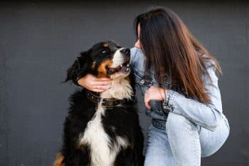 Help Soothe Your Dog’s Pain with These 15 Relief Aids