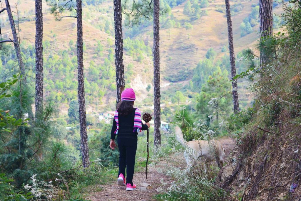 Where to Trek With Kids? Explore the Most Family-Friendly Trails in India